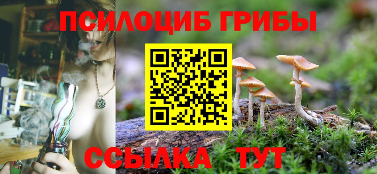 Мичуринск  Галлюциногенные грибы MAGIC MUSHROOMS  Вход с VPN 