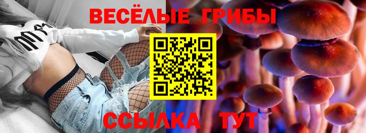 Псилоцибиновые грибы прущие грибы Мичуринск